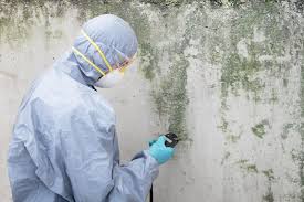 Mold Odor Removal Services in Tarentum, PA